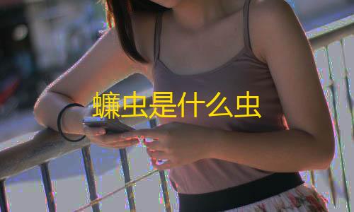 彩虹直装卡密蠊虫是什么虫